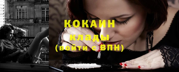 метамфетамин Ельня