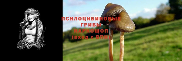 синтетический гашиш Елизово