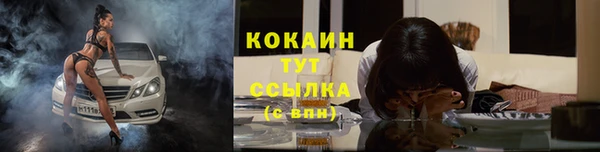 метамфетамин Ельня