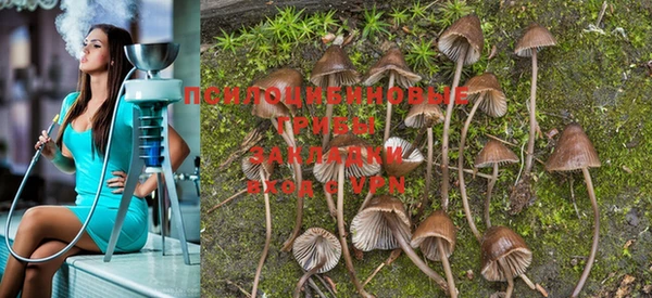 метамфетамин Ельня
