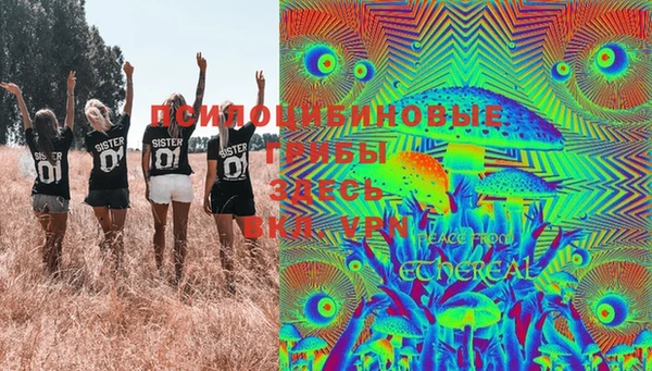 метамфетамин Ельня