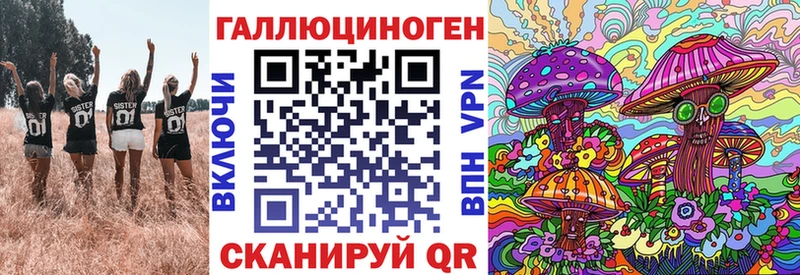 Галлюциногенные грибы Psilocybine cubensis  Купить закладки  Новосиль 