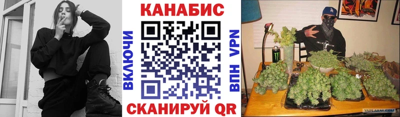Каннабис OG Kush  Купить где  Новосиль 